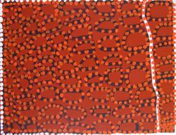 Bidyadanga Art
