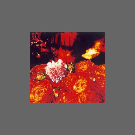 Fire Roses