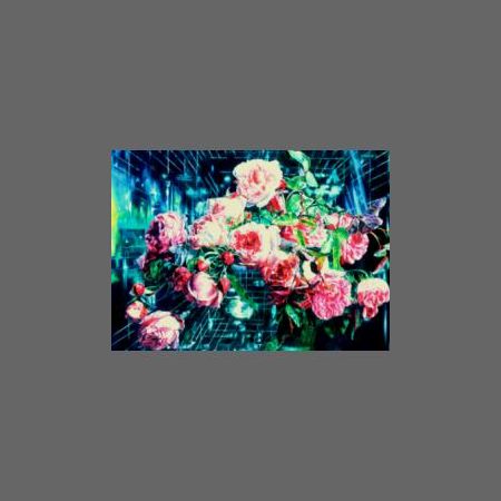 Pink Roses with Grid