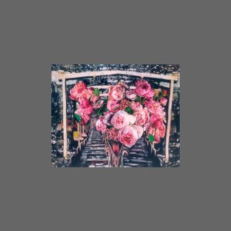 Underground Bloom