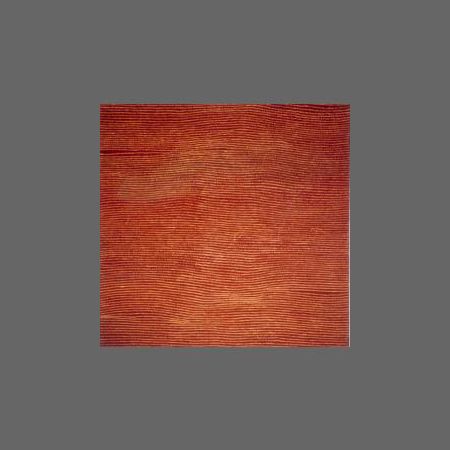 Untitled (WT20000559)