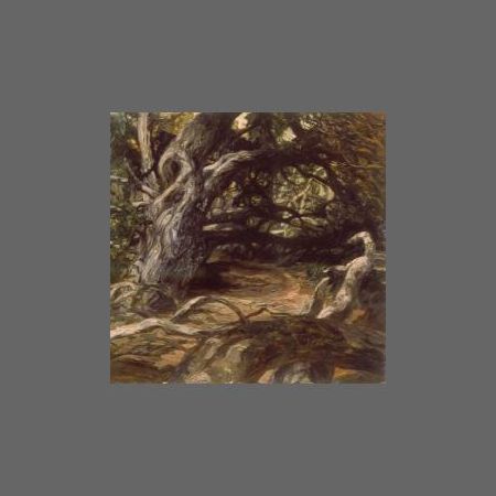 Currently selected image